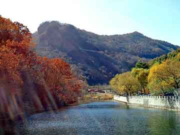 澳门二四六天天彩图库，商路风流